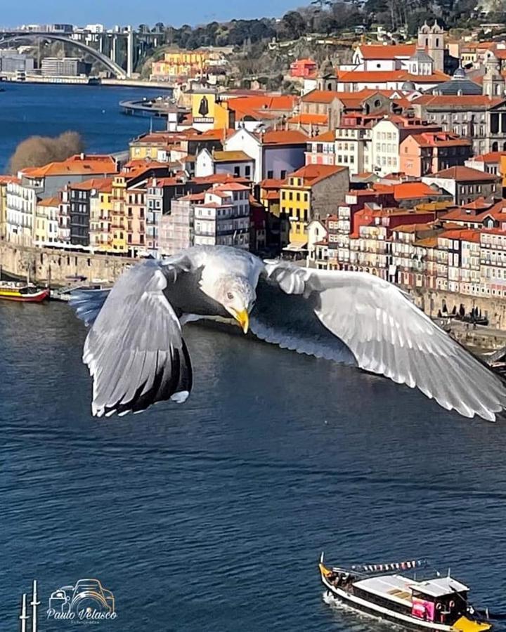 Villa Casa Mira Douro Vila Nova de Gaia Esterno foto